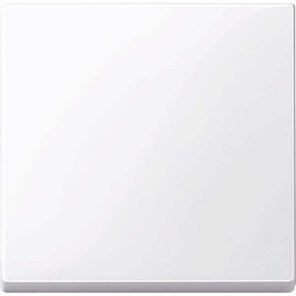 SCHNEIDER ELECTRIC MTN432125 Tecla simple ELEGANCE blanco activo