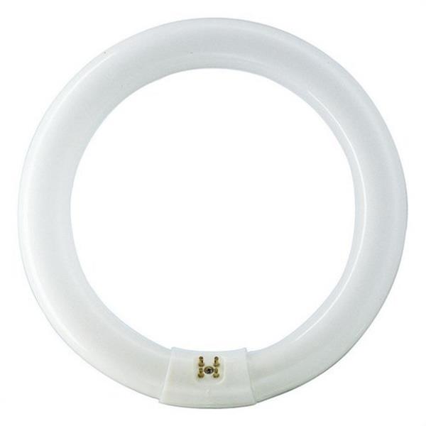 PHILIPS 55968515 Fluorescente Master TL-E circular 32W-840 4000K