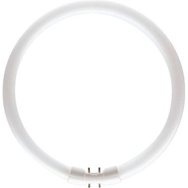 PHILIPS 64251625 Fluorescente circular Master TL5 diámetro 16mm 55W/840