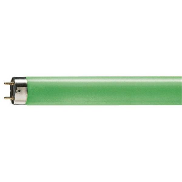 PHILIPS 64298140 Fluorescente TLD 18W-17 verde arranque cebador
