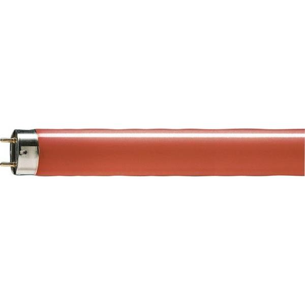 PHILIPS 72748040 Fluorescente TL-D 36W-15 rojo arranque cebador