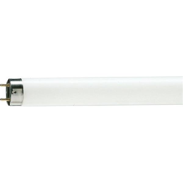 PHILIPS 88846425 Fluorescente Master TL-D 90 18W-965 6500K