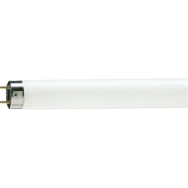 PHILIPS 88860025 *Fluorescente Master TL-D 90 36W-95° 5000K