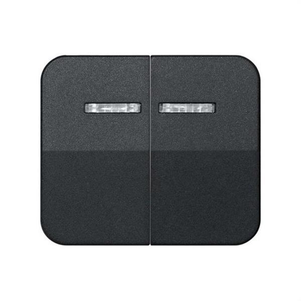SIMON 75025-38 Tecla SIMON 75 doble para pulsadores conmutados luminosos grafito
