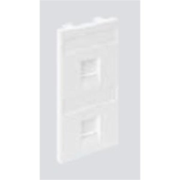SIMON S76B/14 Placa SIMON CIMA V&D plana con guardapolvo para 2 conectores AMP/BRAND REX/SYSTIMAX (AVAYA)