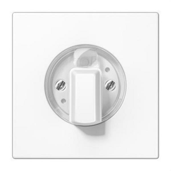 JUNG LS1941WW Placa central interruptor blanco alpino