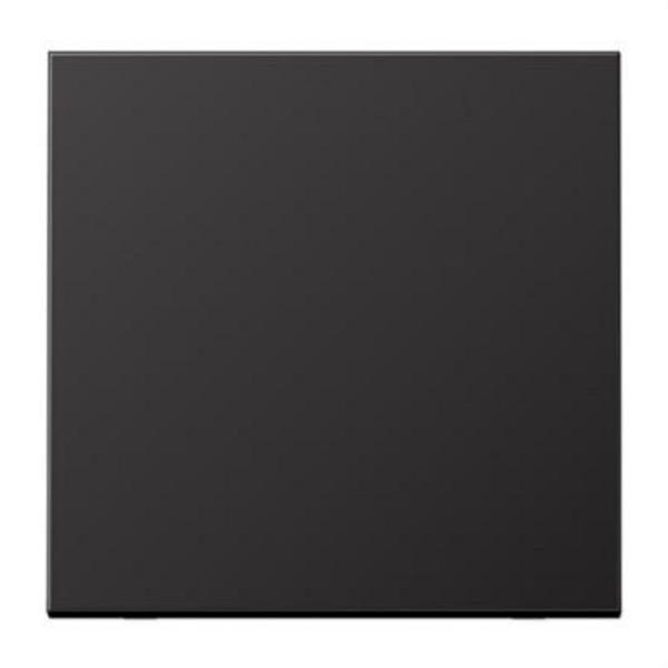 JUNG AL2990D Tecla simple para interruptor y pulsador dark (aluminio lacado)