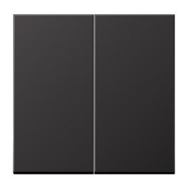 JUNG AL2995D Tecla doble aluminio oscuro