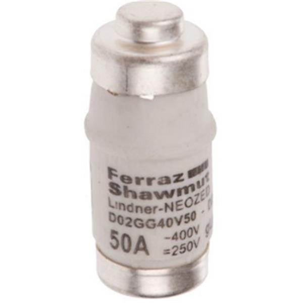 FERRAZ SHAWMUT D215191 Fusible NEOZED D02 50A GL-GG