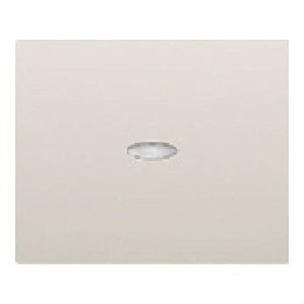BJC 18705-L Tecla interruptor conmutador cruzamiento señal serie Iris en blanco