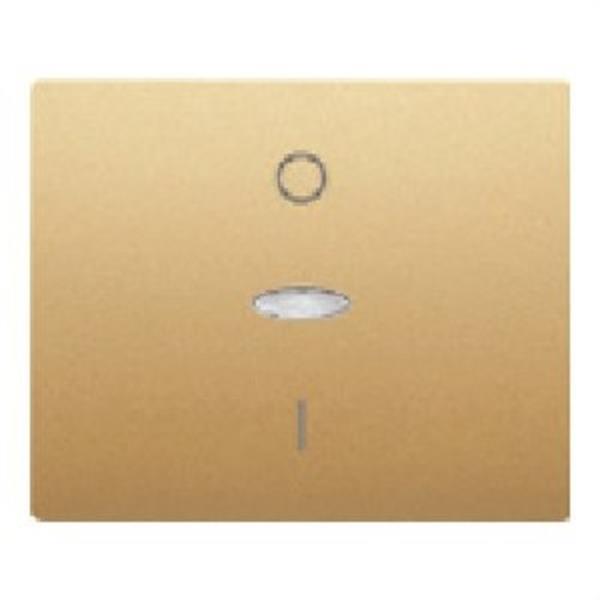 BJC 18708-ODL Tecla interruptor bipolar serie Iris en dorado odisea