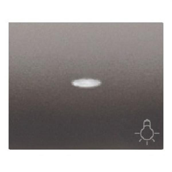 BJC 18717-ANL Tecla pulsador luz luminoso serie Iris en acero neptuno