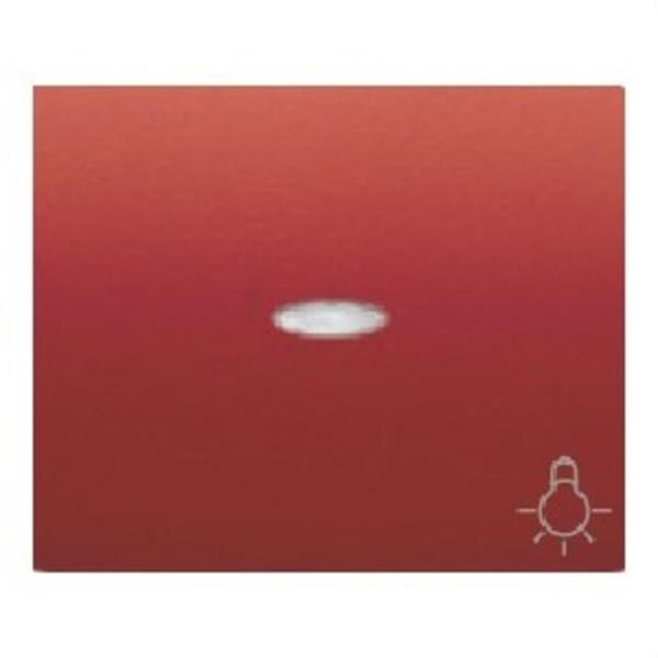BJC 18717-CJL Tecla pulsador luz luminoso serie Iris en cobre jaipur