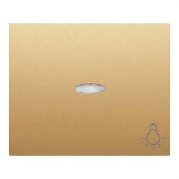 BJC 18717-ODL Tecla pulsador luz luminoso serie Iris en dorado odisea