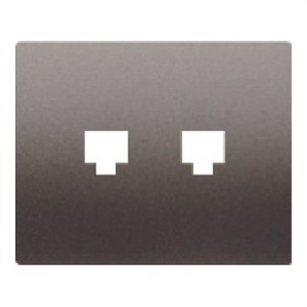 BJC 19882-AN Tapa adaptadora 2 conectores RJ11-RJ45 en acero neptuno
