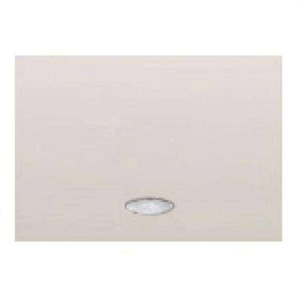 BJC 21705-L Tecla interruptor conmutador y cruzamiento con difusor serie Coral en blanco