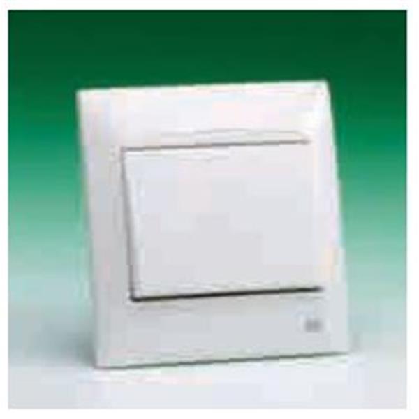 BJC 21906 Conmutador montado con placa serie Coral en blanco