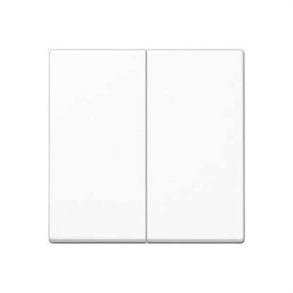 JUNG A595WW Tecla doble interruptor pulsador A500 blanco alpino