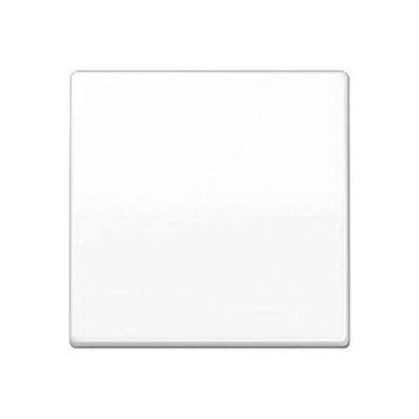 JUNG AS591WW Tecla para mecanismo simple placa central blanco alpino