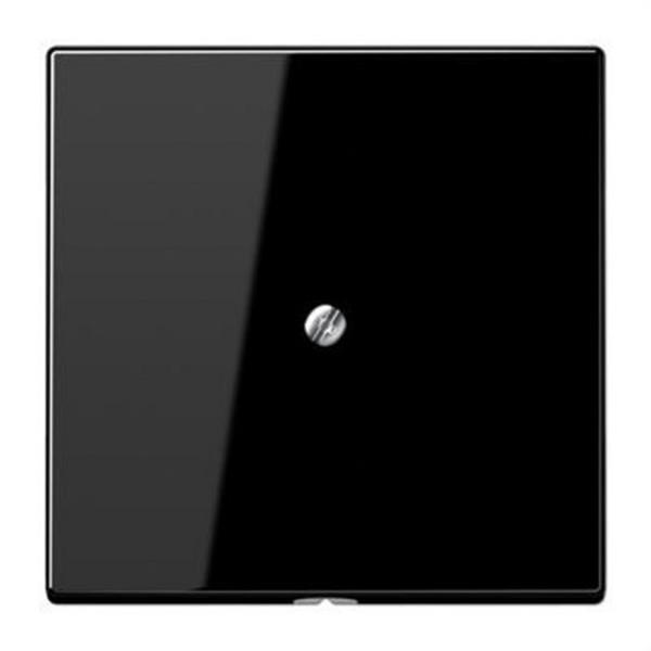 JUNG LS990ASW Placa salida cable soporte metálico negro