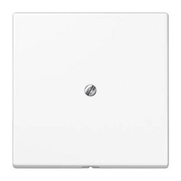 JUNG LS990AWW Placa salida cable soporte metálico blanco alpino
