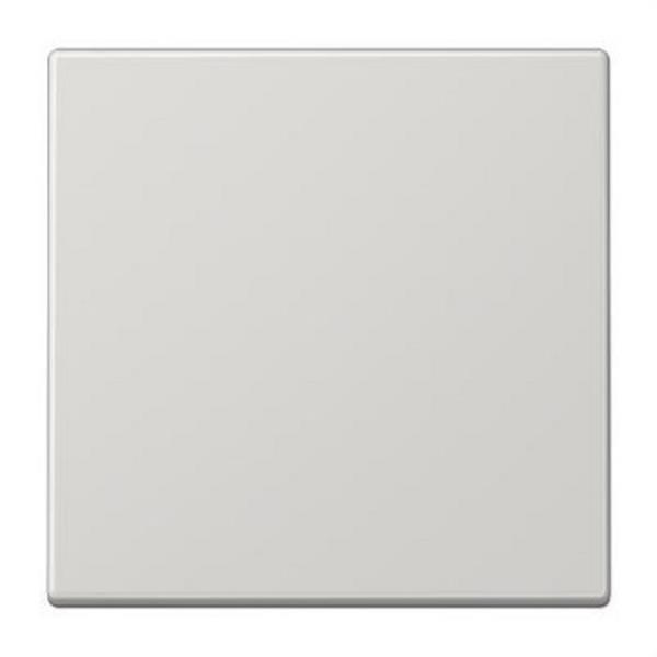 JUNG LS990LG Tecla para interruptor conmutador gris claro