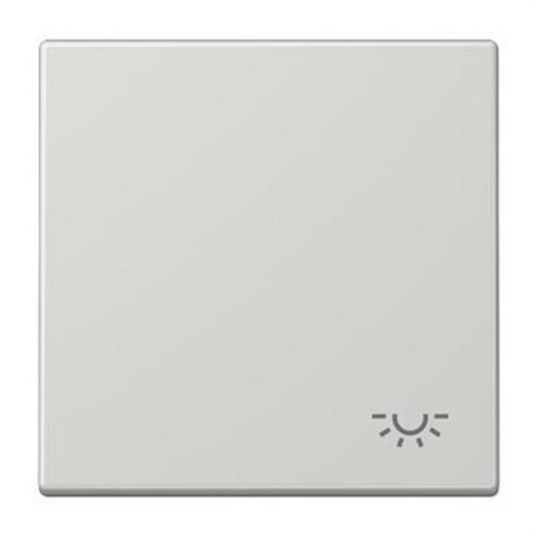 JUNG LS990LLG Tecla símbolo luz LS990 gris