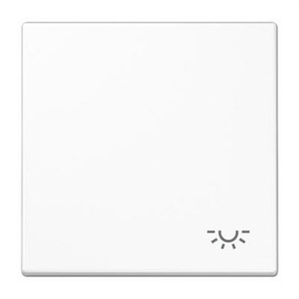 JUNG LS990LWW Tecla símbolo luz blanco alpino