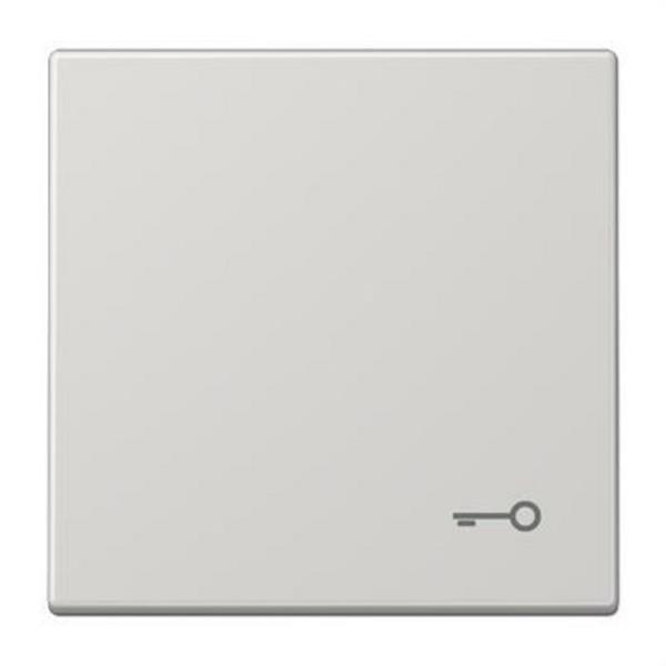 JUNG LS990TLG Tecla símbolo puerta LS990 gris