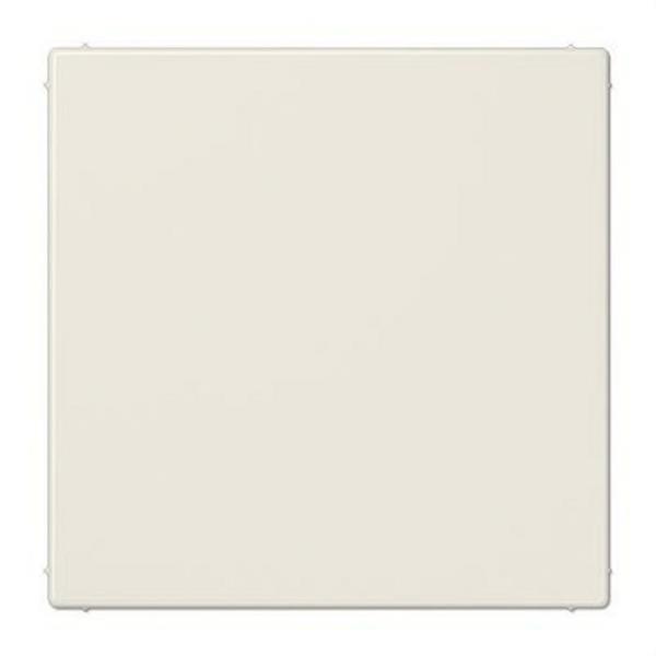 JUNG LS994B Placa ciega blanco marfil