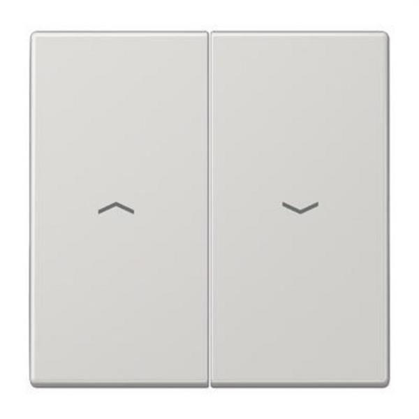 JUNG LS995PLG Tecla doble persiana gris claro