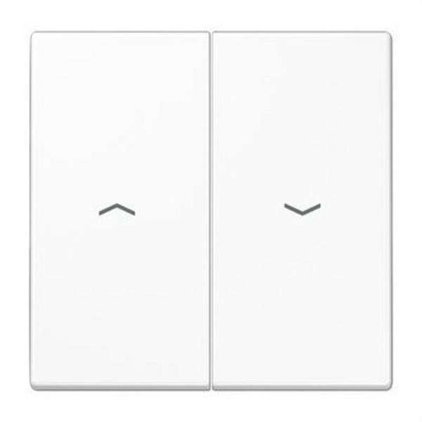 JUNG LS995PWW Tecla doble persiana blanco alpino