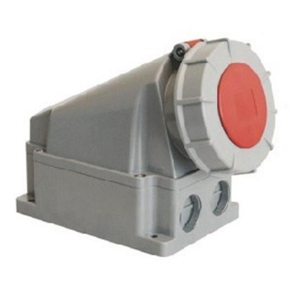 BJC CT-9946 Base mural Cetact 63A 3P+TT IP67 6 horas