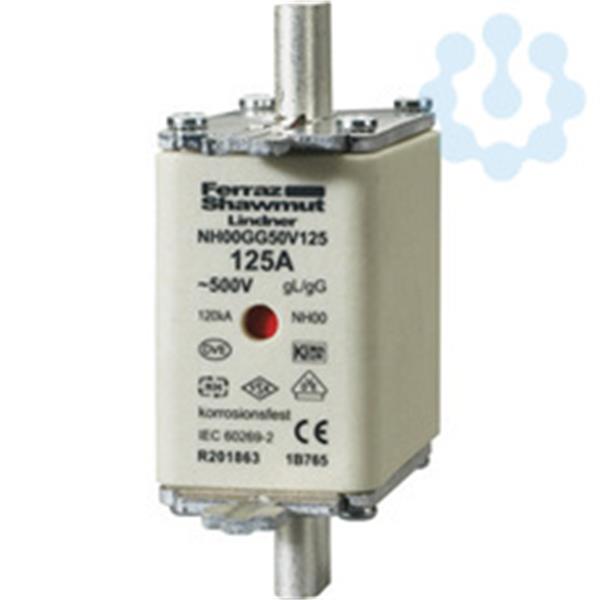 FERRAZ SHAWMUT P211084 Fusible NH 00 160A 500V GG