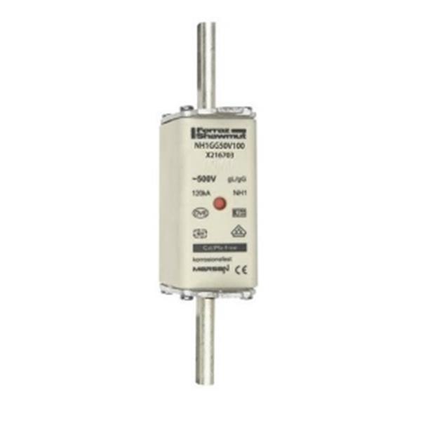 FERRAZ SHAWMUT Q217732 Fusible NH 1 125A 500V GG