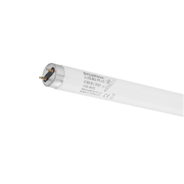 SYLVANIA 0001501 *Lámpara LUXLINE-PLUS F18W/830 bulbo T-8