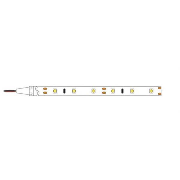 CONALUX 4,8W-IP20-12V-6K-5M Tira LED 3528-WNSD IP20 4,8W blanco neutro bobina 5m