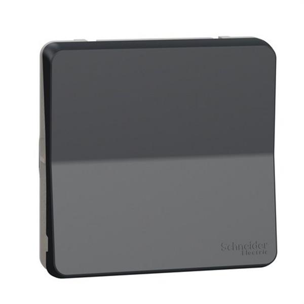 SCHNEIDER ELECTRIC MUR35020 Cruzamiento de la gama MUREVA STYL color gris