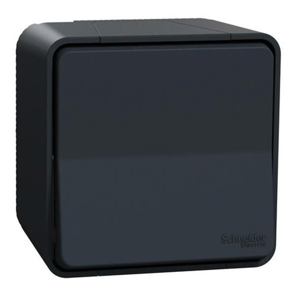 SCHNEIDER ELECTRIC MUR35021 Conmutador de superficie de la gama MUREVA STYL gris