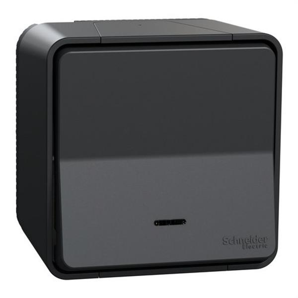 SCHNEIDER ELECTRIC MUR35024 Conmutador de superficie con LED de la gama MUREVA STYL gris