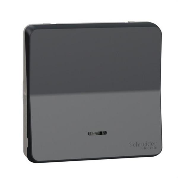 SCHNEIDER ELECTRIC MUR35025 Conmutador con LED de la gama MUREVA STYL gris