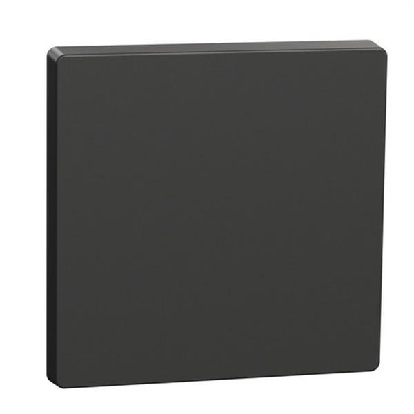 SCHNEIDER ELECTRIC MTN3300-6034 Tecla simple para mecanismo D-LIFE antracita