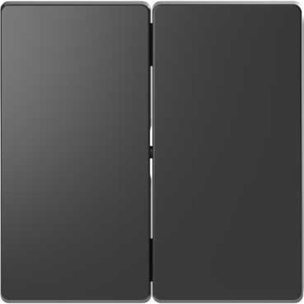 SCHNEIDER ELECTRIC MTN3400-6034 Tecla doble para mecanismo D-LIFE de color antracita