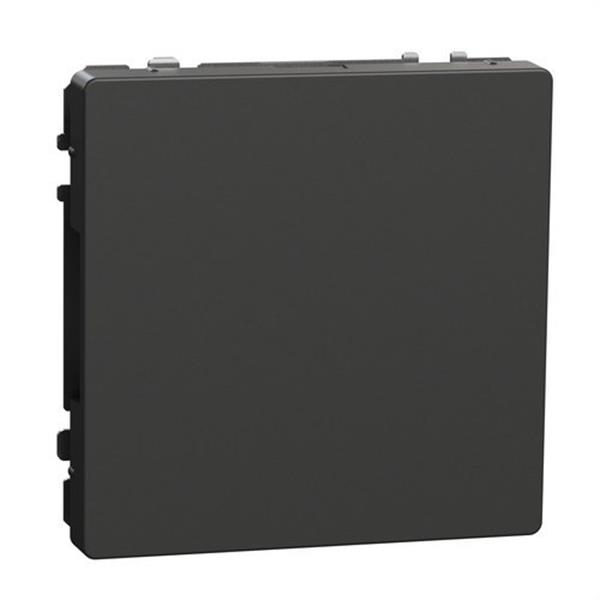 SCHNEIDER ELECTRIC MTN4075-6034 Tapa ciega para mecanismo D-LIFE antracita