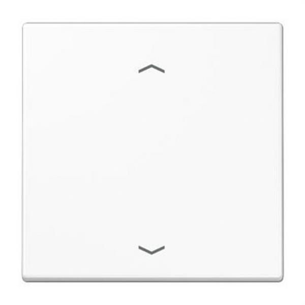 JUNG LS1700PWW Tecla sensora estándar persiana con flechas blanco alpino Serie LS duroplástico (resistente