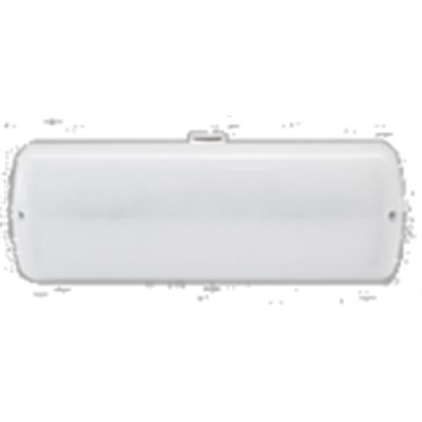 SAGELUX 13.5508.3001.63 Luminaria estanca EVOLUTION 1h LED 150lm no permanente