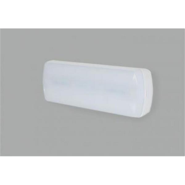 SAGELUX 13.5508.7011.63 Luminaria estanca EVOLUTION SATI 500lm 1h SATI