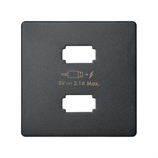 SIMON 8211096-038 Placa cargador SIMON 82 2xUSB 5V DC 2,1 tipo A grafito