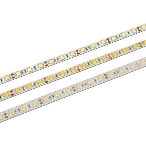 CONALUX 12W-IP20-24V-4K-5M Tira LED 5050 IP20 12W/m sin alimentador 24V blanco neutro bobina 5m