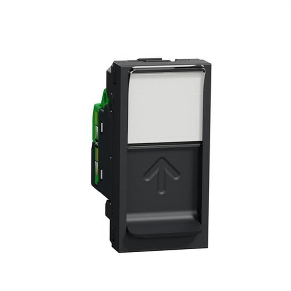 SCHNEIDER ELECTRIC NU341054 Toma RJ45 categoría 5e UTP 1 modulo antracita